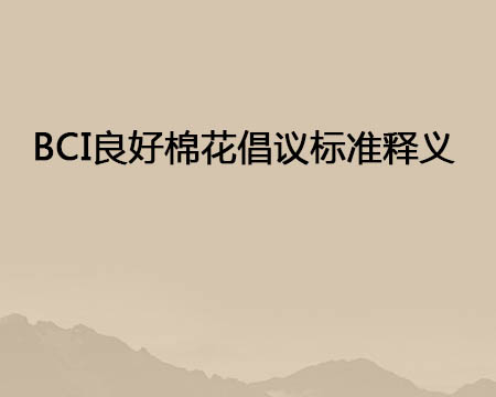 BCI�����޻������׼����