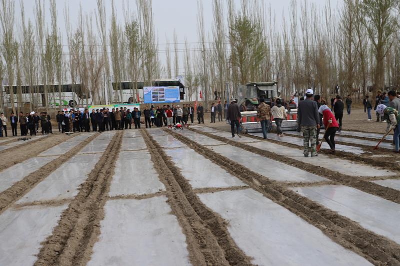 3377���� - ȫ����ȫ����̬�ȵ���������ֱ��ƽ̨